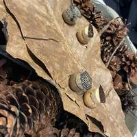 ル・ミュゼ・イデア - 