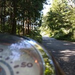 わたりや - 初秋の森林浴。気持ち良かったー。