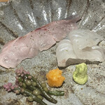 馳走 啐啄一十  - お造り（黒ムツ、コチ、鯛、障泥烏賊、もち鰹、鯵）