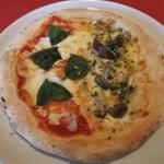 ヴィノッキオ - 