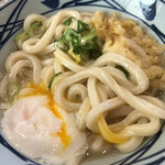 Marugame Seimen - 