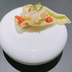 サンプリシテ - 