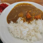 ちゃんぽん 一鶴 - ミニカレー(450円)