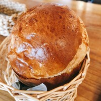 VELVET VIRGO - ブリオッシュ VELVET VIRGO - ブリオッシュ