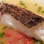 蒼 - ⑨炭火焼き真鯛(兵庫県明石産、神経〆2.4kg、1日寝かせ、[多幸一]奥田商店)のアクアパッツァ
      産卵期は冬～春、旬は初夏～初冬
      真鯛は炭火焼き→真鯛の骨出汁で軽く煮る→炭火焼きと真鯛の美味しさを凝縮