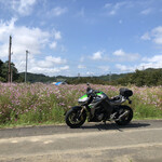 レストハウスあらふね - 下界のコスモス街道は良い天気でした