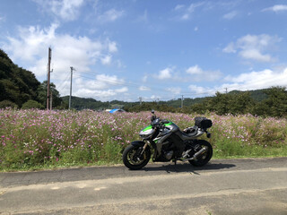 レストハウスあらふね - 下界のコスモス街道は良い天気でした