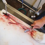 うなぎが安くて旨いだけ 鰻やす - 