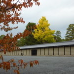 虎屋菓寮 - 2012年11月御所の塀と紅葉