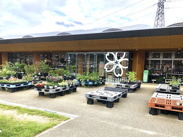 くにみ市場 - 藤田（その他）の写真