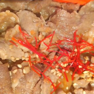 博多店屋町ゾノブリアン_1