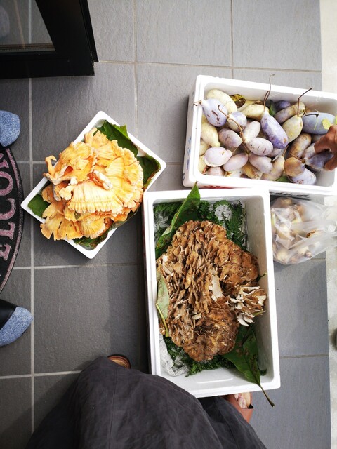 ル カフェ プランタニエ（Le cafe Printanier） - 十文字（フレンチ）の写真