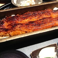 うなぎ四代目菊川 ミッドランドスクエア 名古屋本店 - 