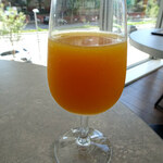 GONTRAN CHERRIER - フレッシュフルーツジュース（オレンジ）