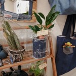 アートカフェ サクラ - 