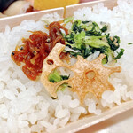 さくらテイスト - 関山
ご飯