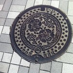 楽山 - こちらは百日紅