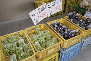 JA香川県 - 