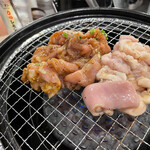 Zerobyou Remonsawasendai Horumonyakiniku Sakaba Tokiwatei - 