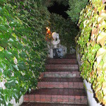 ristorante ANDREA - 夜の外観　２　【　２０１２年１０月　】 119