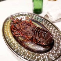 anchoa - 