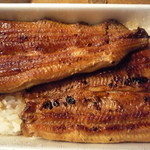 いなげ家 - うな重