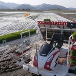 こだわり、その弐