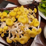 四季茸 名駅笹島店 - タモギタケ