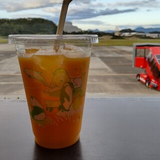 スカイアドベンチャー_1