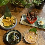 Bettei Kokori - 日本酒に寄り添う、様々な肴をご用意しております。