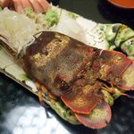 月波 - 刺身盛り合わせ：せみ海老