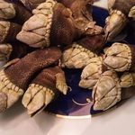 ととすし - 珍品！カメノテ！（フジツボの一種）('12.11)