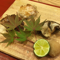 三宅輝 - 