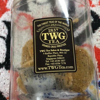 ティーダブリュージー ティー_0