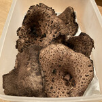 茜坂大沼 - 立派な香茸！