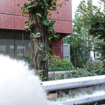 T.Y.HARBOR - 天王洲に向かいます・・