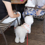 T.Y.HARBOR - お隣に ’遠い親戚’ 