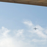 T.Y.HARBOR - 見上げれば次々に飛行機〜♬