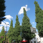 T.Y.HARBOR - 白金台の青い空