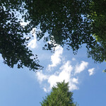 T.Y.HARBOR - Summer 2021