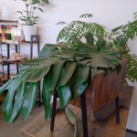 cafe&bakery C'est la vie - 