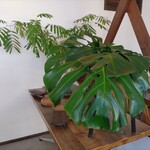 cafe&bakery C'est la vie - 