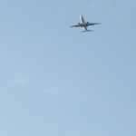 T.Y.HARBOR - Wish we were on board!!