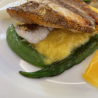 リストランテ・マッサ - 