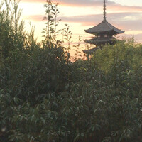 メインダイニングルーム 三笠 - 