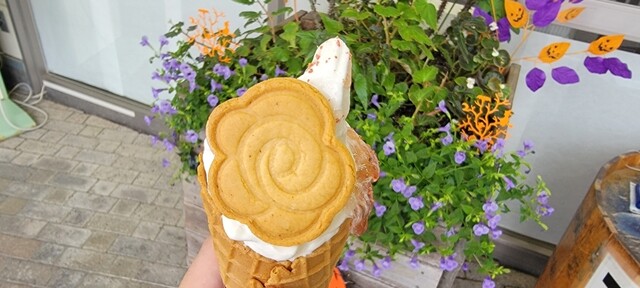 道の駅 しょうわ（ブルーメッセ あきた） - 大久保（道の駅）の写真