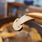 柚木元 - 松茸アップ！