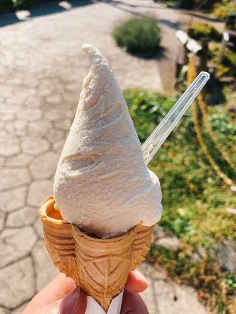 手づくり ジェラート工房 - 西若松（ジェラート・アイスクリーム）の写真