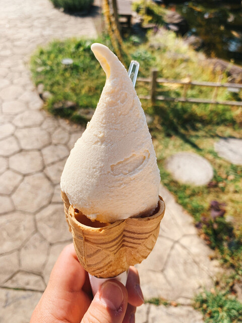 手づくり ジェラート工房 - 西若松（ジェラート・アイスクリーム）の写真