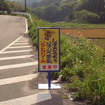  しばちゃんランチマーケット - 道路の立看板